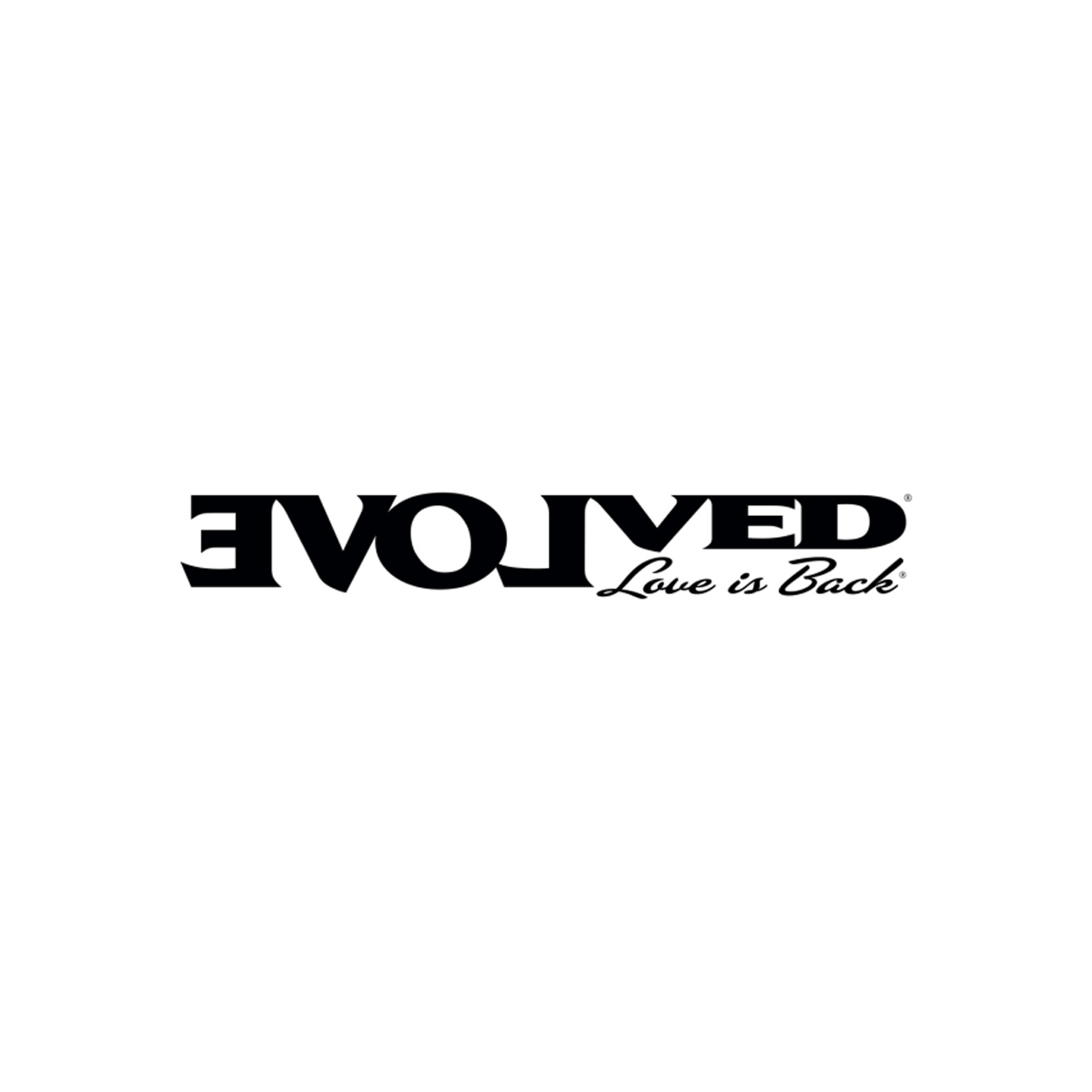 Evolved Novelties