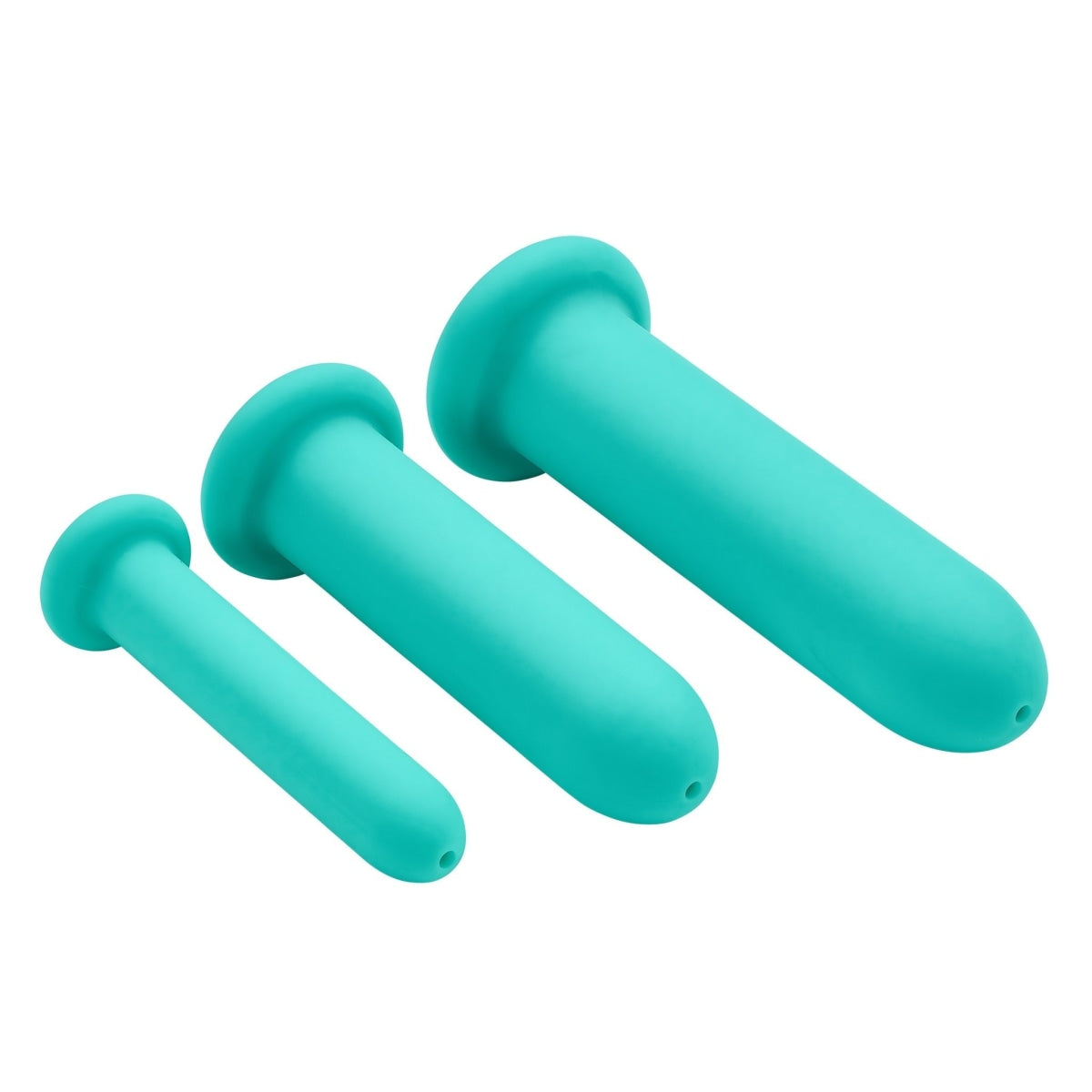 Cloud 9 Health & Wellness Silicone Dilator Kit for Vaginal/Anal Use Intimates Adult Boutique