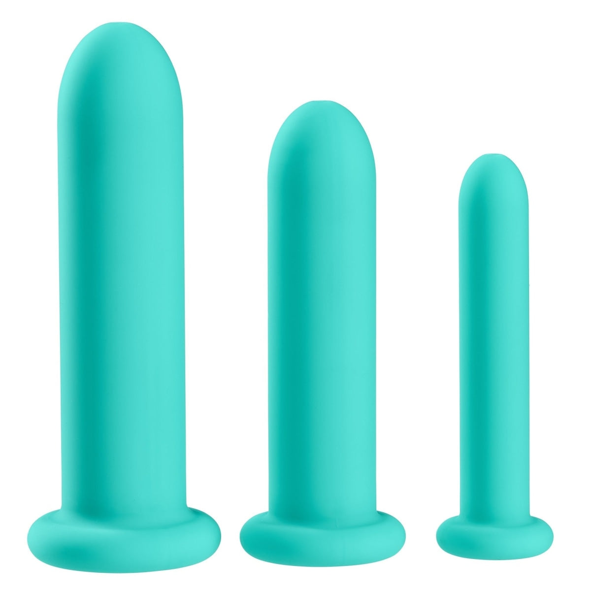 Cloud 9 Health & Wellness Silicone Dilator Kit for Vaginal/Anal Use Intimates Adult Boutique