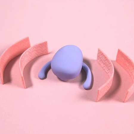 Eva Couples Toy