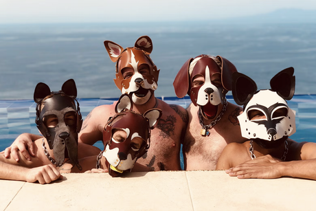 Exploring the Connection Between the Queer Community and Puppyplay in BDSM