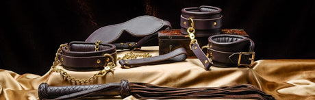 Kinks and Tricks: An Intro to BDSM