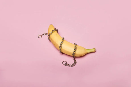 Branches of BDSM