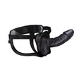 Erection Assistant Hollow Strap-on 8 Black " Intimates Adult Boutique