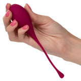 Kegel Training 5 Pc Set Intimates Adult Boutique