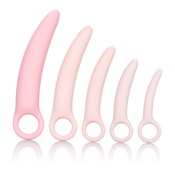 Inspire Silicone Dilator Kit Intimates Adult Boutique