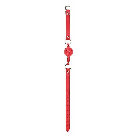 Ball Gag Red - Explore Sensory Play in the Fetish Category Intimates Adult Boutique