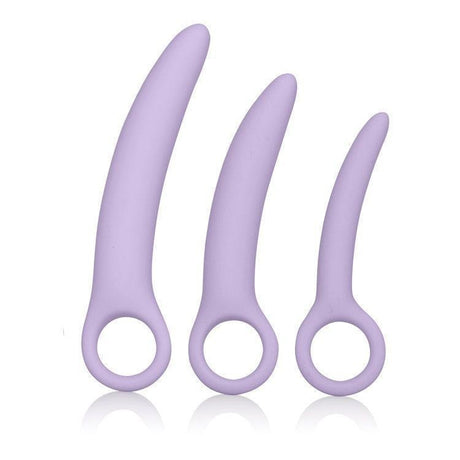 Shop Dr. Laura Berman Alena Silicone Dilators Set | Sextoys for Women  Intimates Adult Boutique