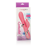 Intimates Adult Boutique