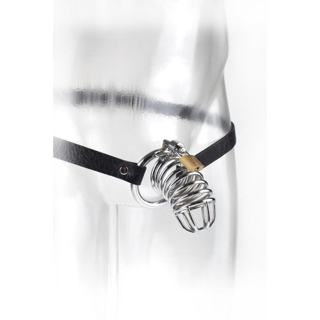 Fetish Fantasy Extreme Chastity Belt Intimates Adult Boutique