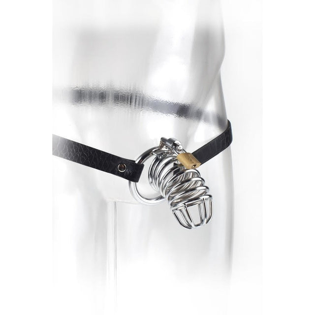 Fetish Fantasy Extreme Chastity Belt Intimates Adult Boutique