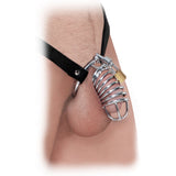 Fetish Fantasy Extreme Chastity Belt Intimates Adult Boutique