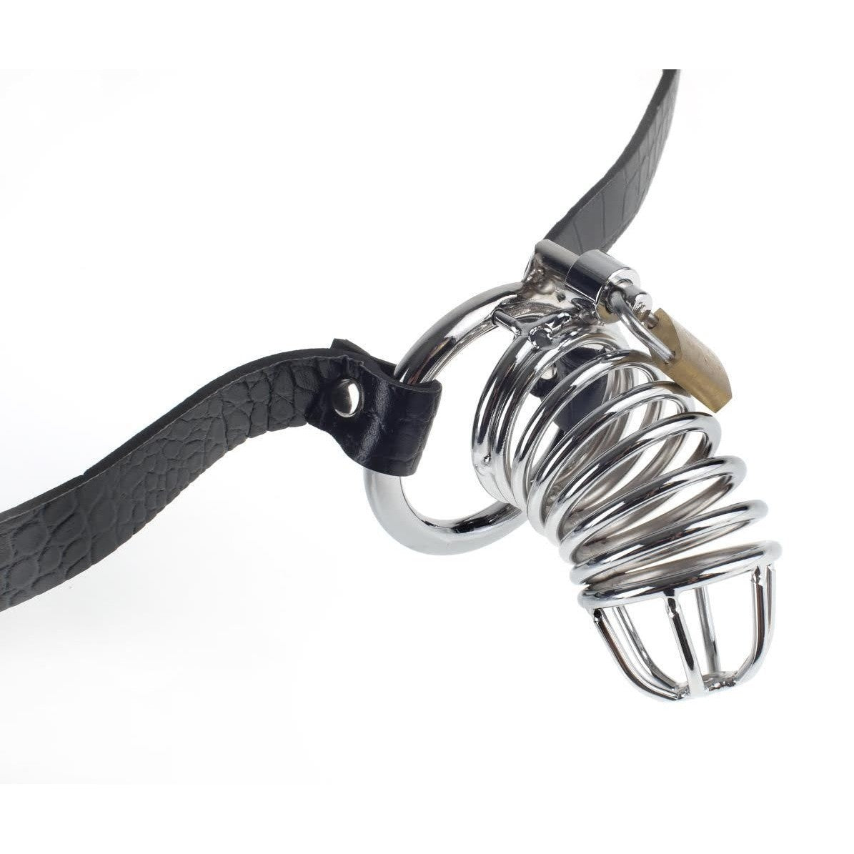 Fetish Fantasy Extreme Chastity Belt Intimates Adult Boutique